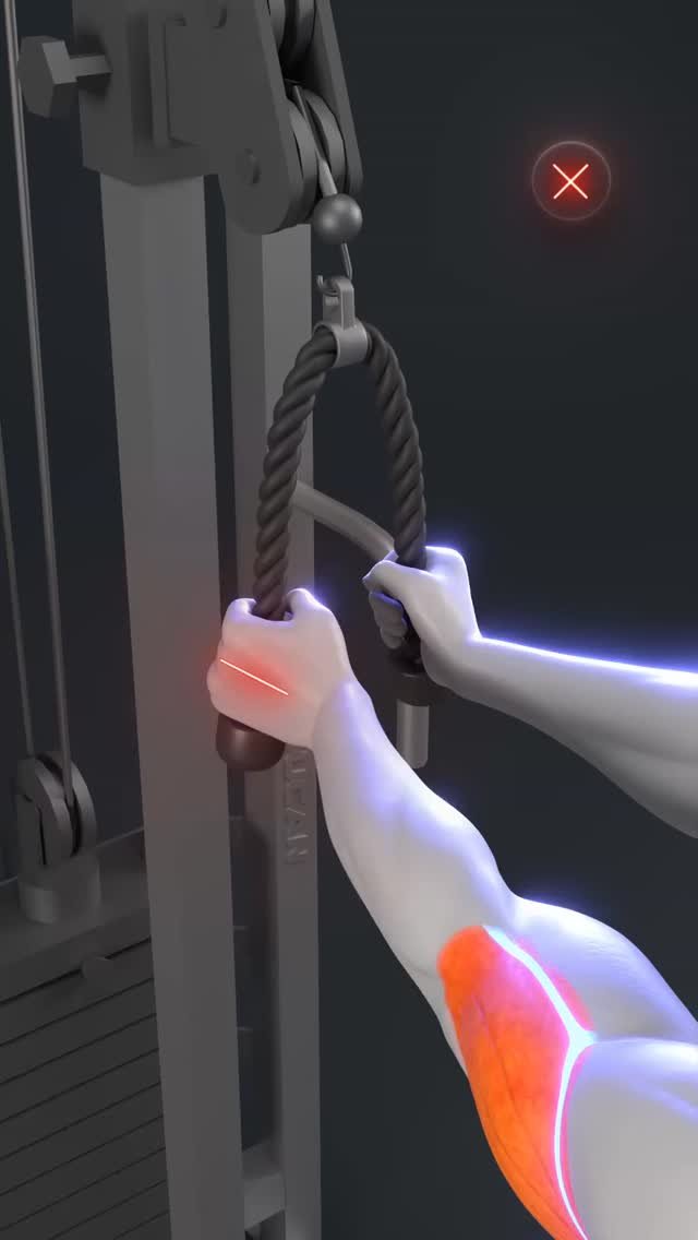 appyoucan 게시물 이미지: 🔥 Build Bigger Arms With Perfect Cable Form