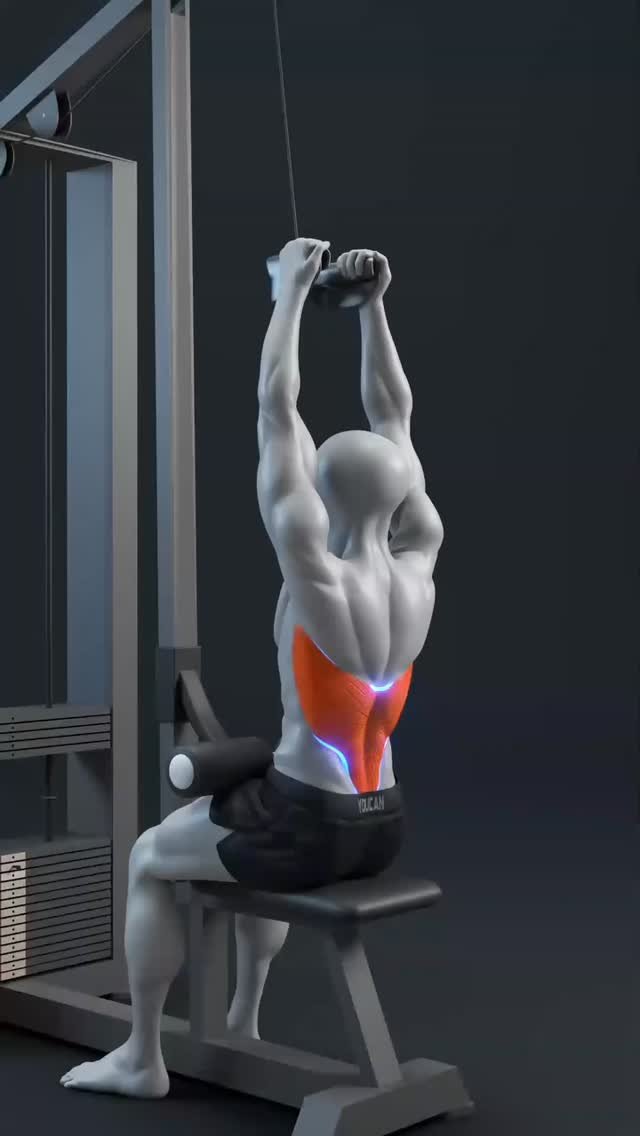 appyoucan 게시물 이미지: 🔥💪 Same Pulldown. Different Back Activation