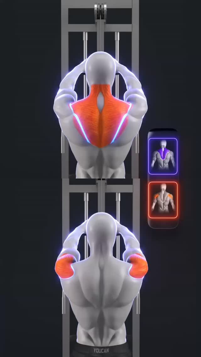 appyoucan 게시물 이미지: 🔥 Face Pull: Traps or Rear Delts? It’s All...
