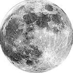 showway_ 프로필 사진