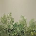 chocho.home 프로필 사진