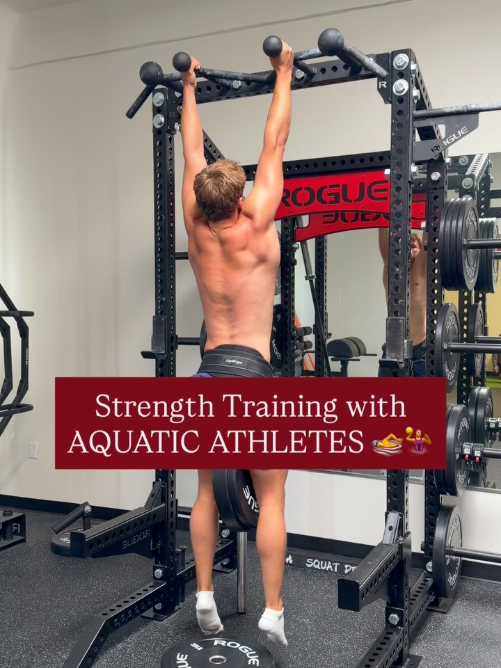 aquastrengthperformance 게시물 이미지: Here’s a full day of strength training with...