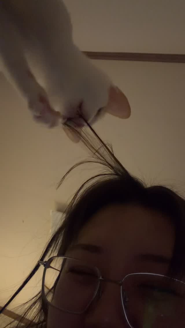 aramjang 게시물 이미지: 건들지마라