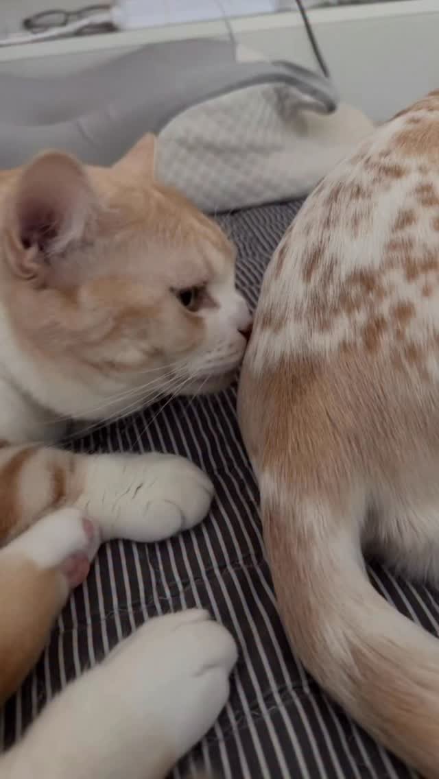 aramjang 게시물 이미지: 콱