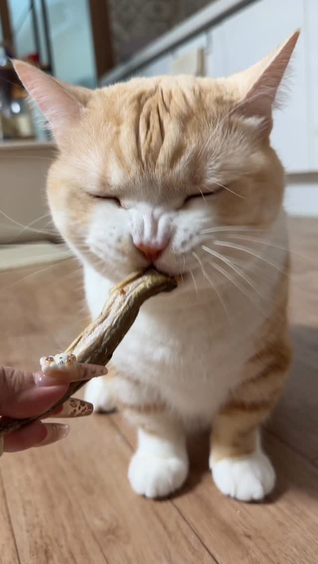 aramjang 게시물 이미지: 마롱이 동결건조 열빙어 ASMR🐟