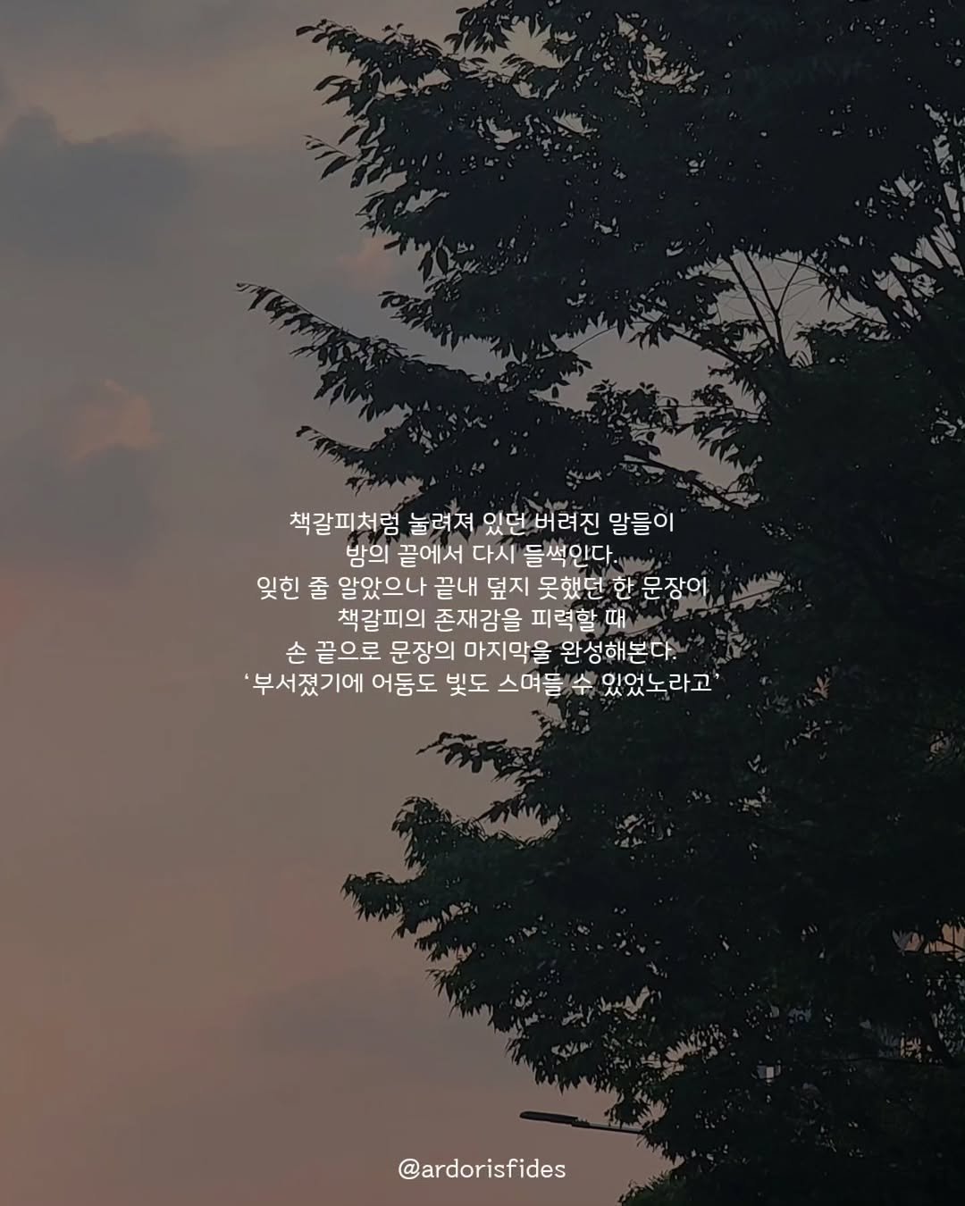 Photo by 작가 피데스 on September 03, 2025. May be an image of tree, cloud and text that says '책갈피처럼 눌려져 있던 버려진 말들이 밤의 끝에서 다시 들썩인다. 잊힌 줄 알았으나 끝내 덮지 못했던 한 문장이 책갈피의 존재감을 피력할 때 손 끝으로 문장의 마지막을 완성해본다. '부서졌기에 어둠도 빛도 스며들 수 있었노라고' @ardorisfides'.
