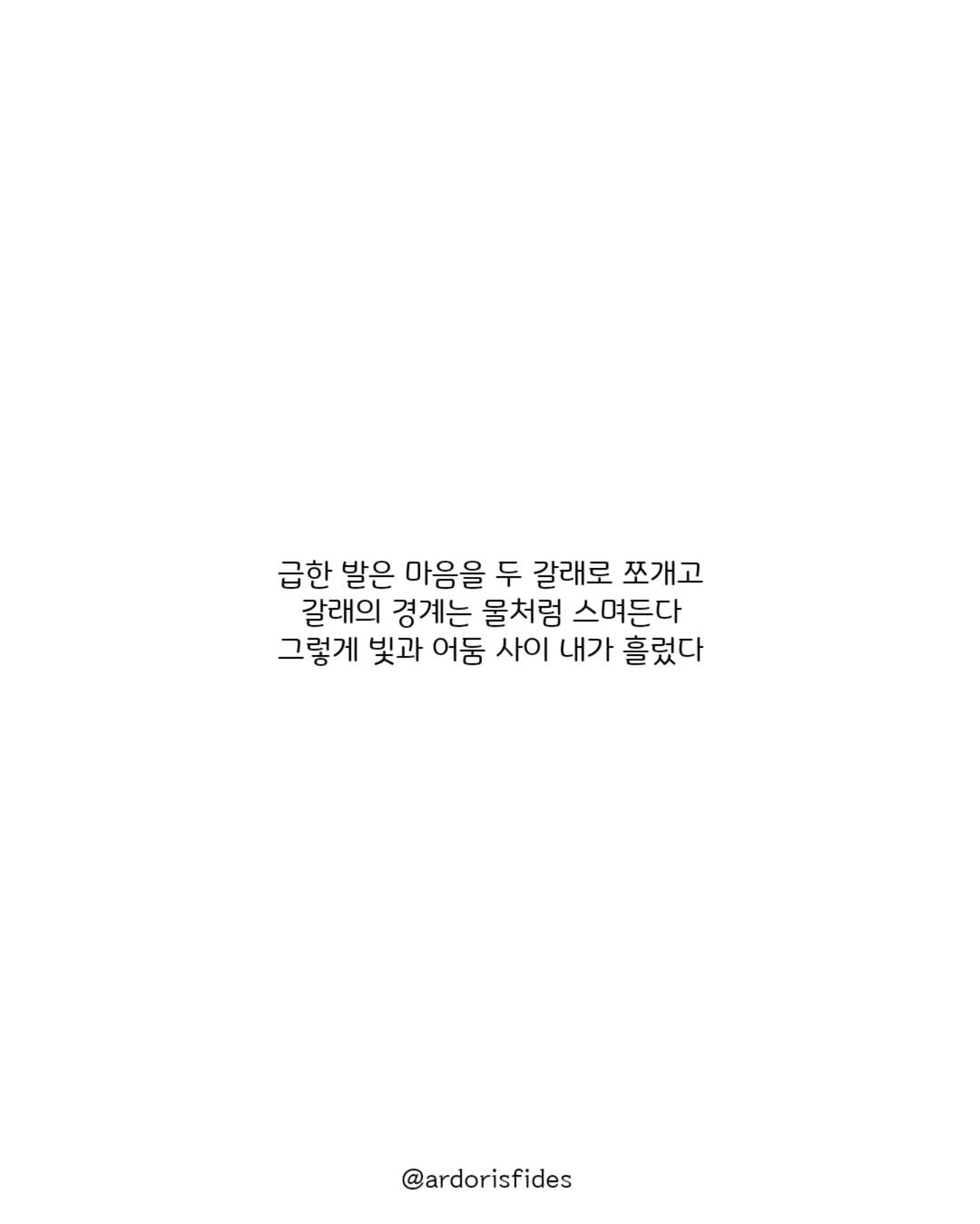 Photo by 작가 피데스 on July 01, 2025. May be an illustration of text that says '급한 발은 마음을 두 갈래로 쪼개고 갈래의 경계는 물처럼 스며든다 그렇게 빛과 어둠 사이 내가 흘렀다 @ardorisfides'.