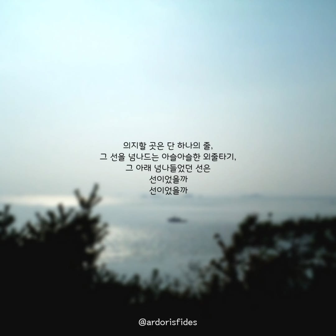Photo by 작가 피데스 on July 19, 2025. May be an image of text that says '의지할 곳은 의지할곳은단하나의 단 하나의 줄, 그 선을 넘나드는 아슬아슬한 외줄타기, 그 아래 넘나들었던 선은 선이었을까 선이었을까 @ardorisfides'.