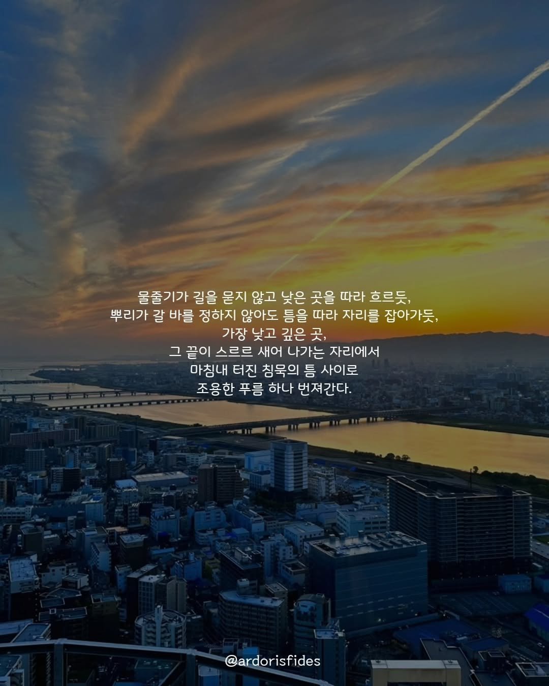 ardorisfides 게시물 이미지: 움터버린 틈
