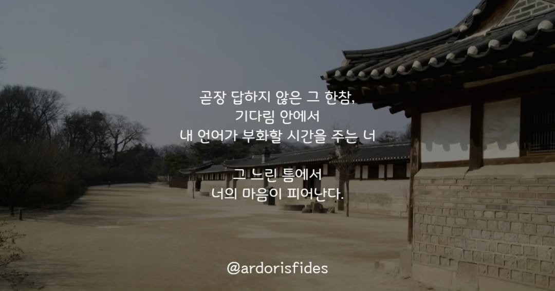 Photo by 작가 피데스 on August 12, 2025. May be an image of ‎text that says '‎곧장 답하지 않은 않은그한참, 그 한참, 기다림 안에서 내 언어가 부화할 시간을 주는 너 그 느린 틈에서 너의 마음이 피어난다. صمس TUy @ardorisfides‎'‎.