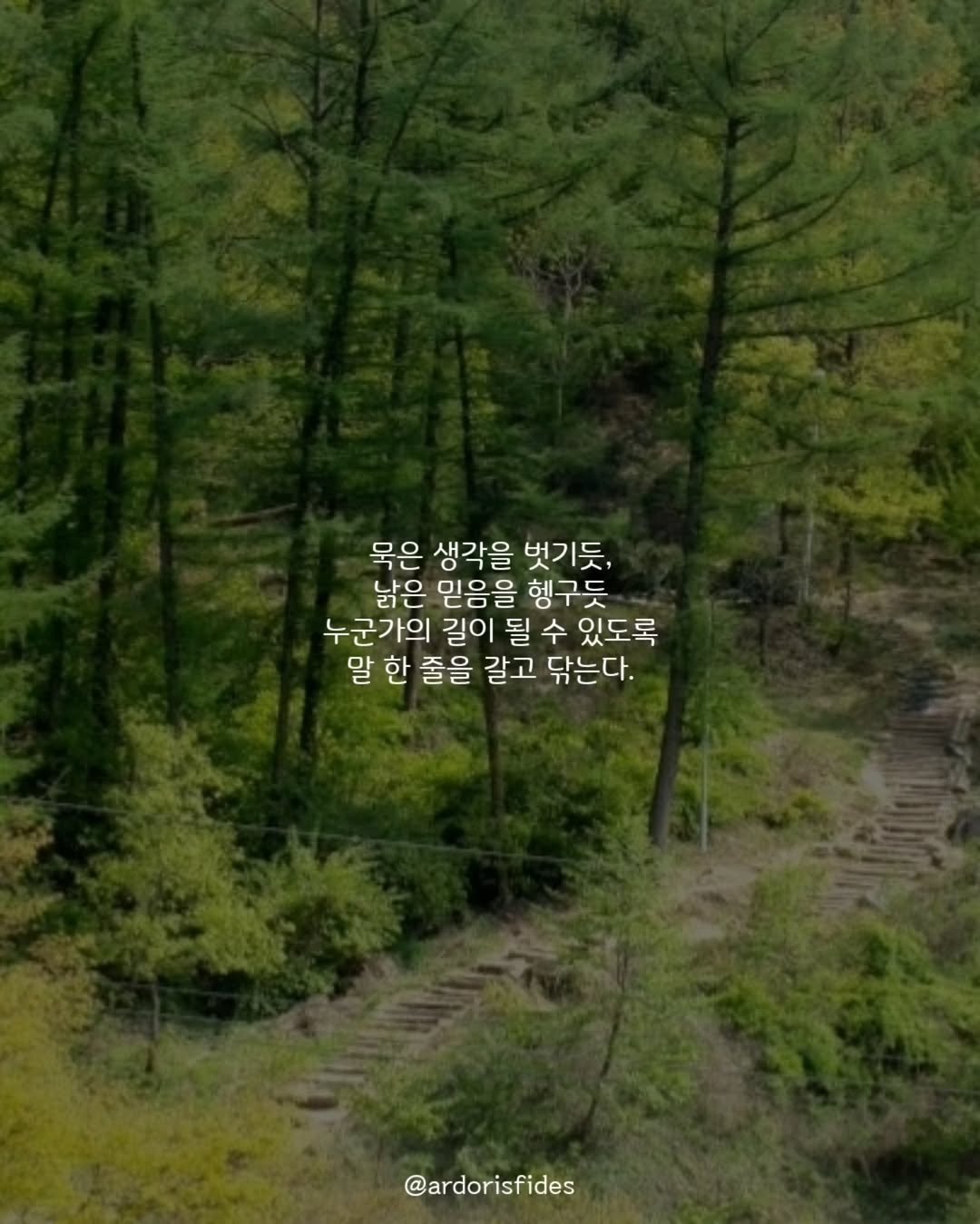 Photo by 작가 피데스 on August 24, 2025. May be an image of tree and text that says '묵은 생각을 벗기듯, 낡은 믿음을 헹구듯 누군가의 길이 될 수 있도록 말 한 줄을 갈고 닦는다. @ardorisfides'.