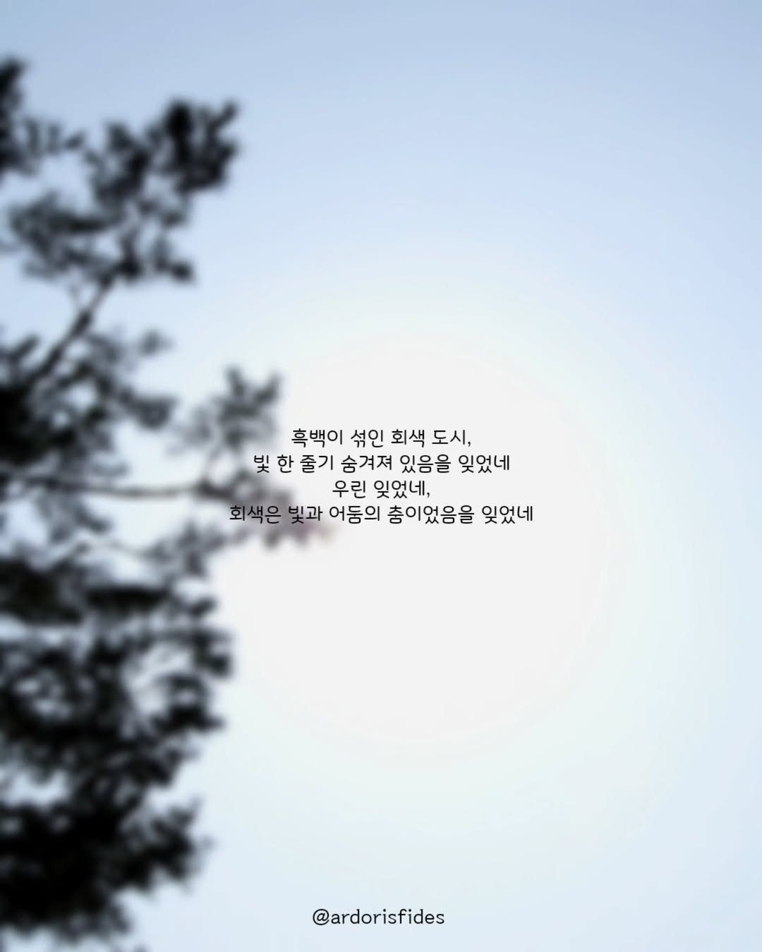 Photo by 작가 피데스 on July 16, 2025. May be an image of text that says '흑백이 섞인 회색 도시, 빛 한 줄기 숨겨져 있음을 잊었네 우린 잊었네, 회 회색은 빛과 어둠의 춤이었음을 잊었네 @ardorisfides'.