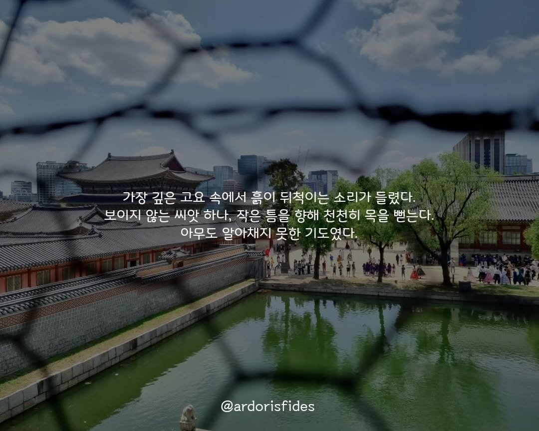 Photo by 작가 피데스 on January 16, 2026.