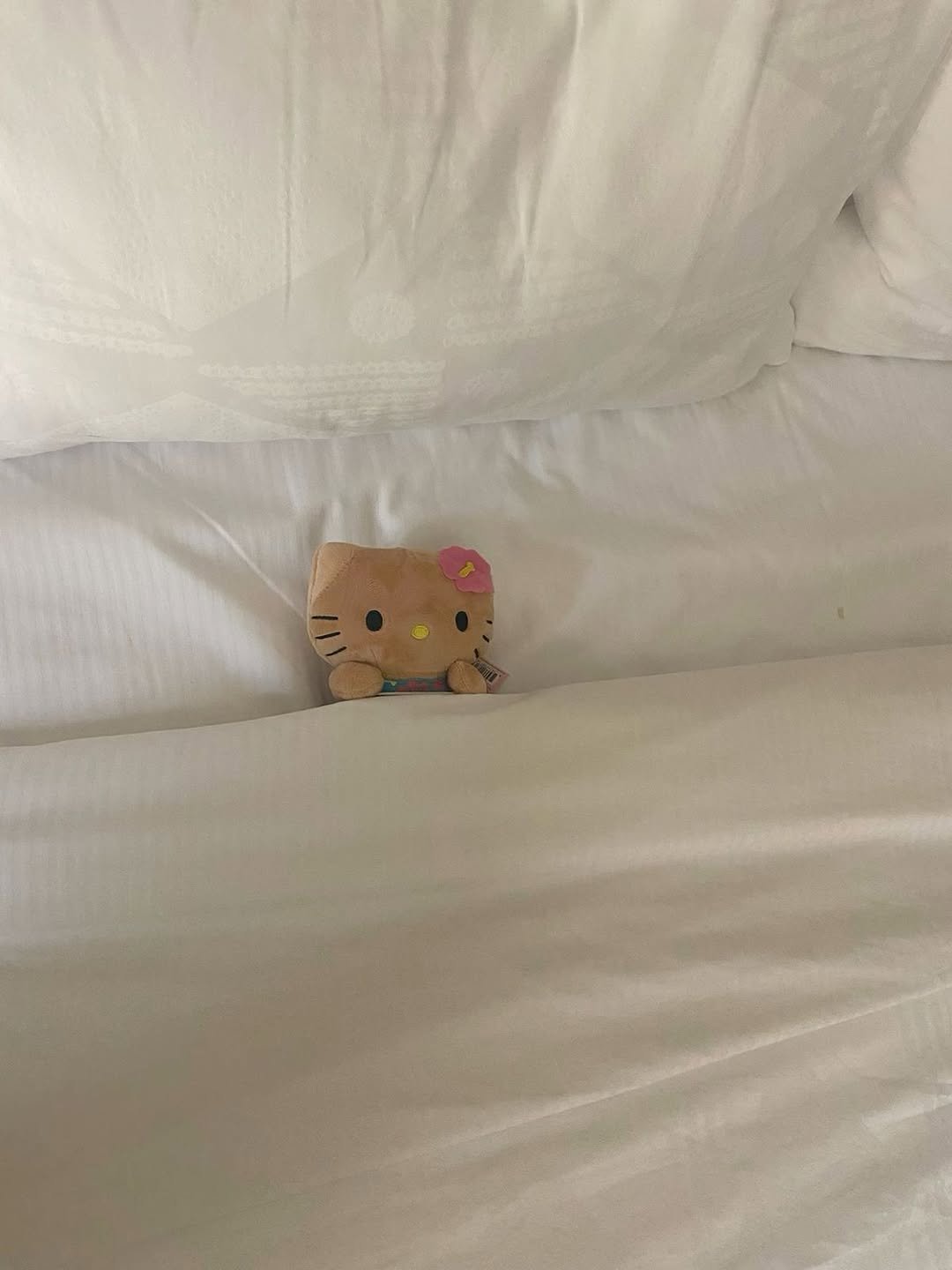 Photo by 아름송이 on June 20, 2025. May be an image of sleeping, bed, mattress, bedroom and text.