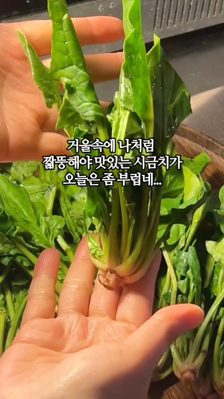 arirang_gotgan 게시물 이미지: 🩷 “시금치 뿌리가 분홍색이면 왜 더 맛있을까?”

시금치 밑동의 연한 분홍빛은...