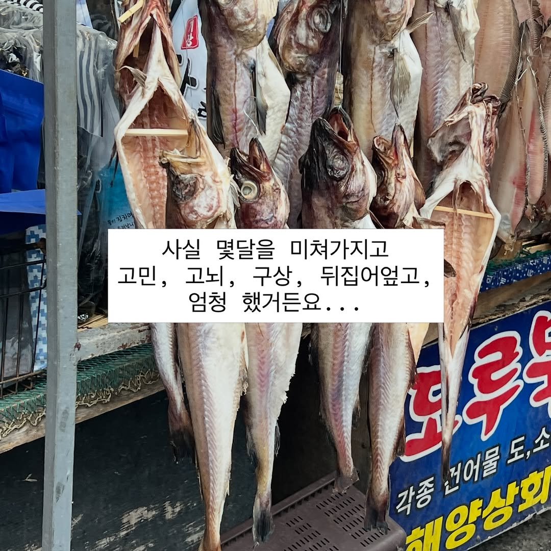 Photo by 김민선_기름집_소믈리에_소스장인 on February 28, 2026. May be an image of ‎fish, fillet and ‎text that says '‎사실 몇달을 미쳐가지고 고민, 고뇌, 구상, 뒤집어엎고, 엄청 했거든요... 루근 각종년어물도,소 도,소 رو 각종 LG 대양상후 .리어클로‎'‎‎.