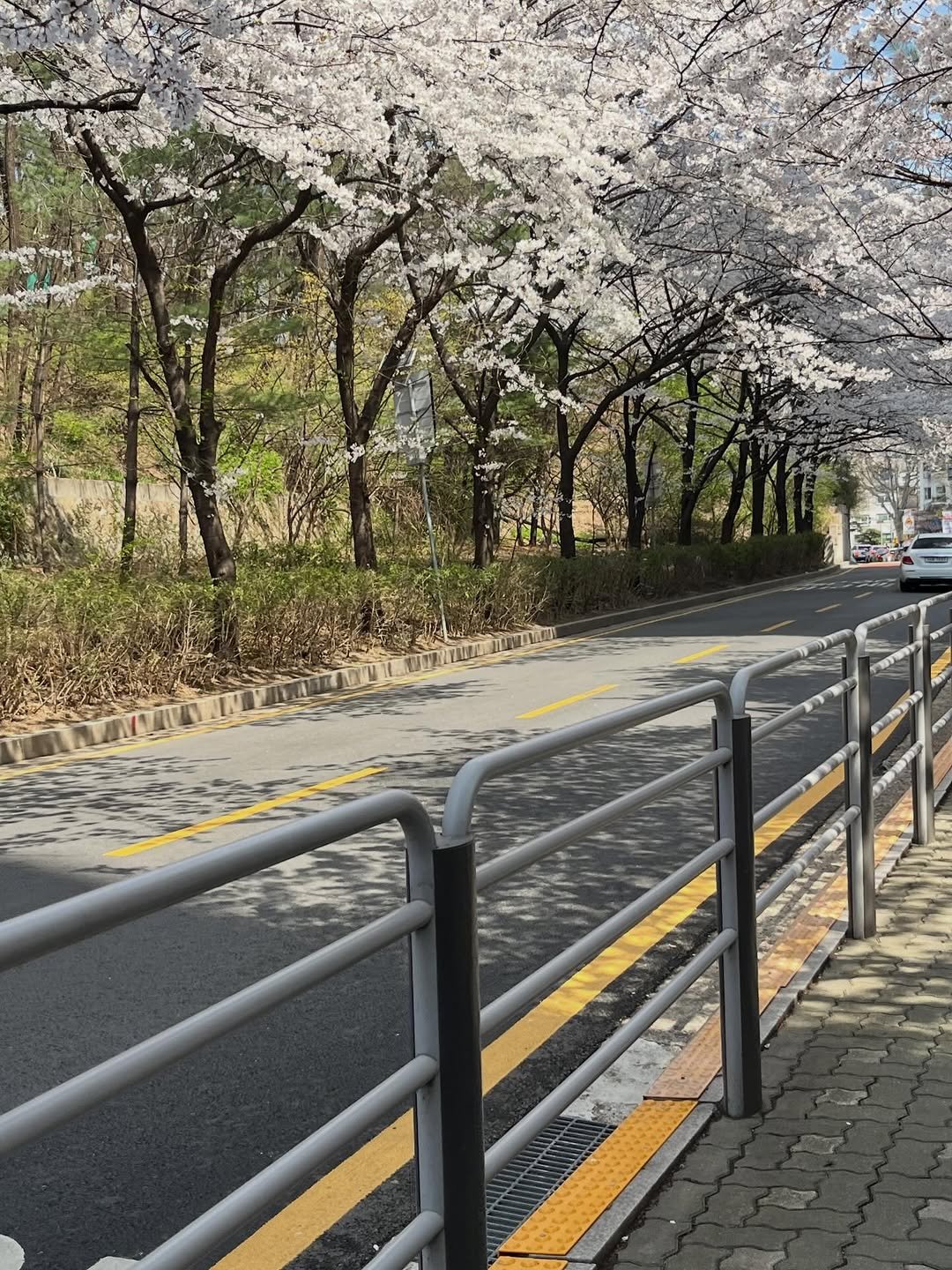 armyxnn 게시물 이미지: 끝 ! 웬만하면 나 진짜 열심히 했다고 저 좀 알아봐달라고 말하는게 좀 짜치다...
