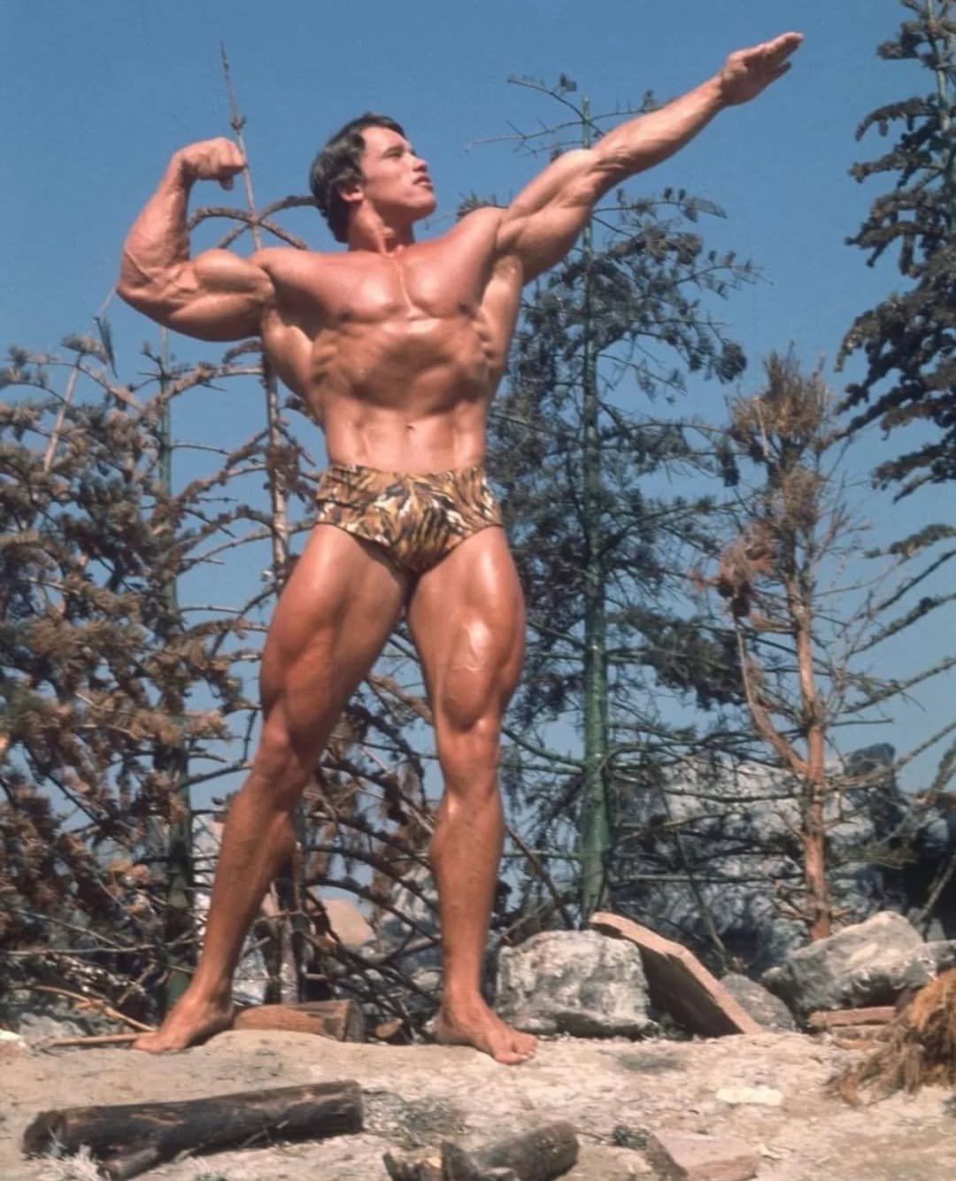 arnoldsports 게시물 이미지: The one and only Austrian Oak 💪🪵