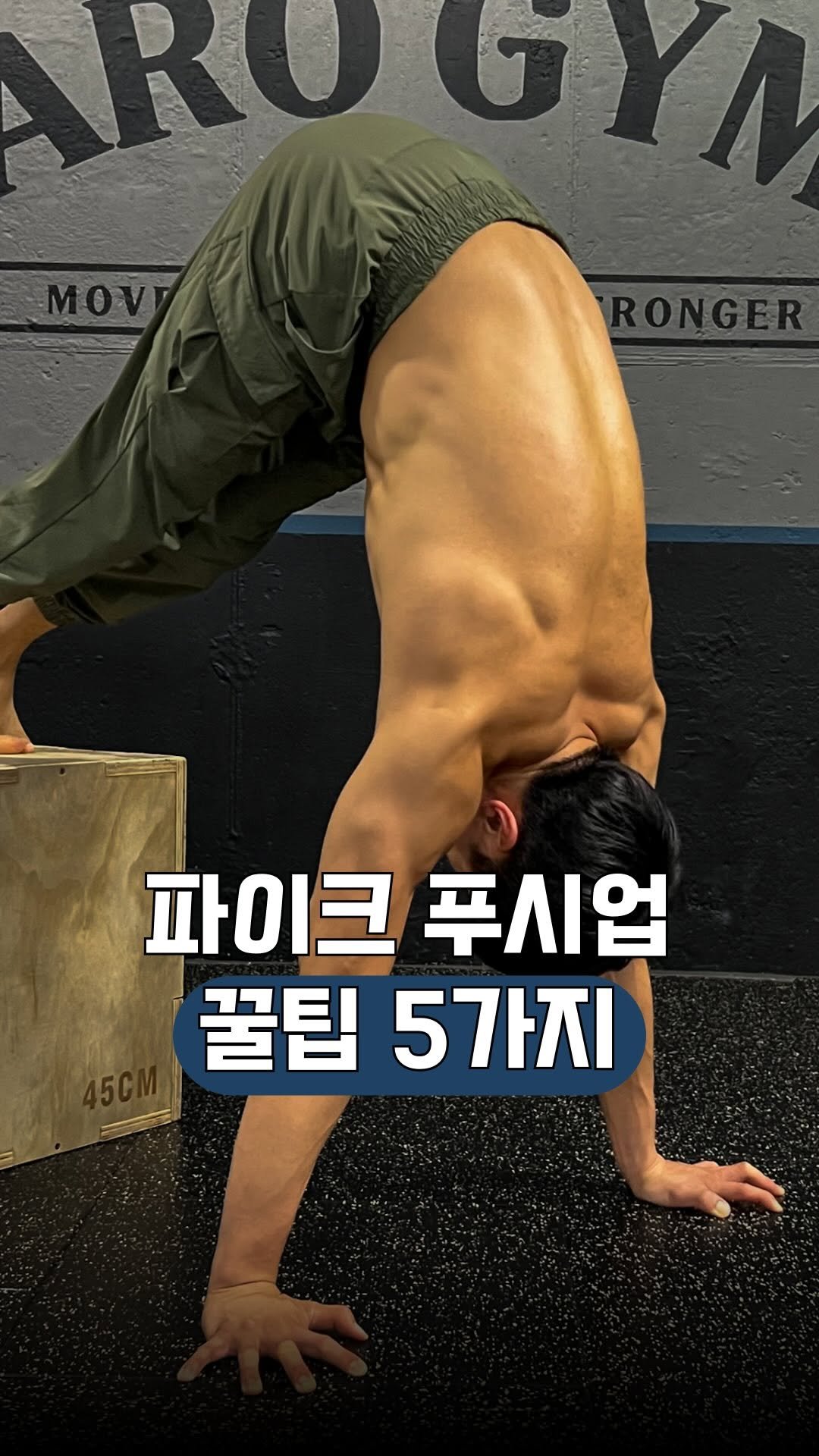 aro_move_ 게시물 이미지: 📌 초보자는 모르는 파이크푸시업 꿀팁 5가지

1.팔꿈치 수직 유지가...
