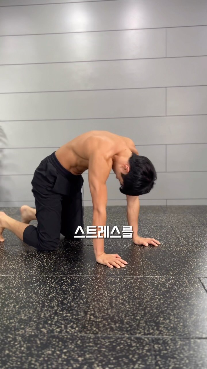 aro_move_ 게시물 이미지: 📌목 어깨 뻐근함 해결하는 캣카우 꿀팁!

근데 목이나 어깨가 불편한 사람들
10명...