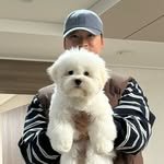 umdoongi 프로필 사진