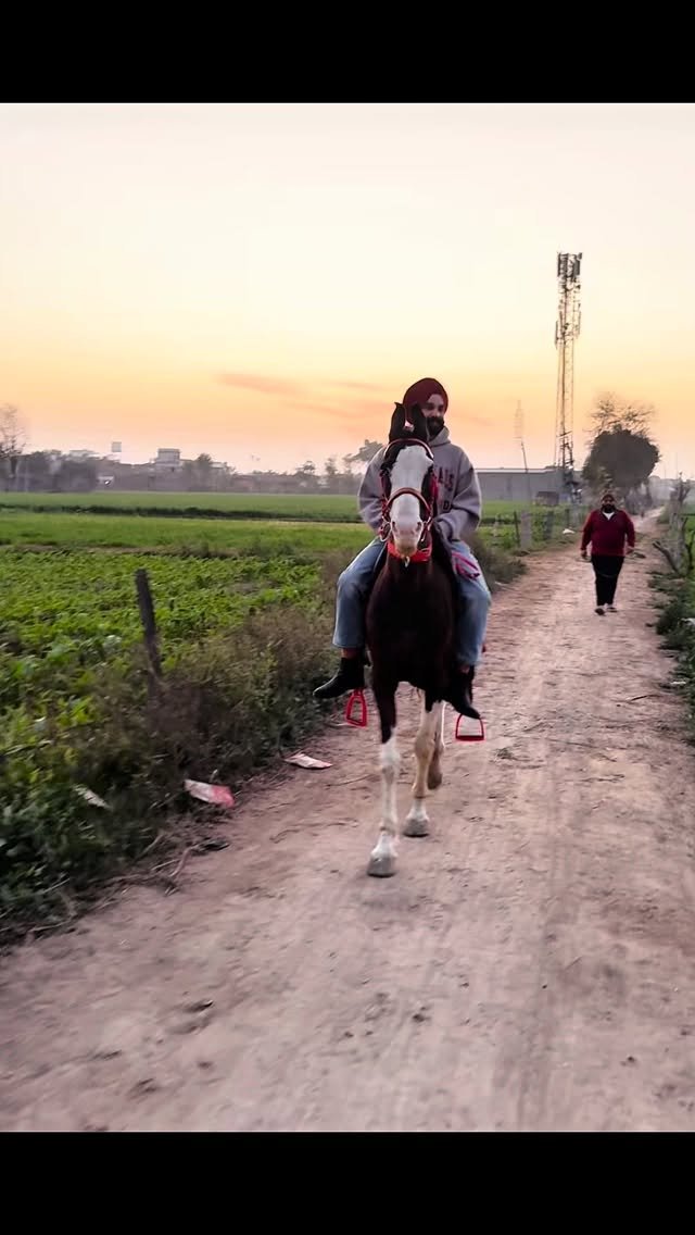 arpanrekhi 게시물 이미지: Gucci Jeha Gabru ‼️‼️‼️