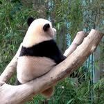 youthful_museum 프로필 사진