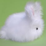 favor0ne 프로필 사진