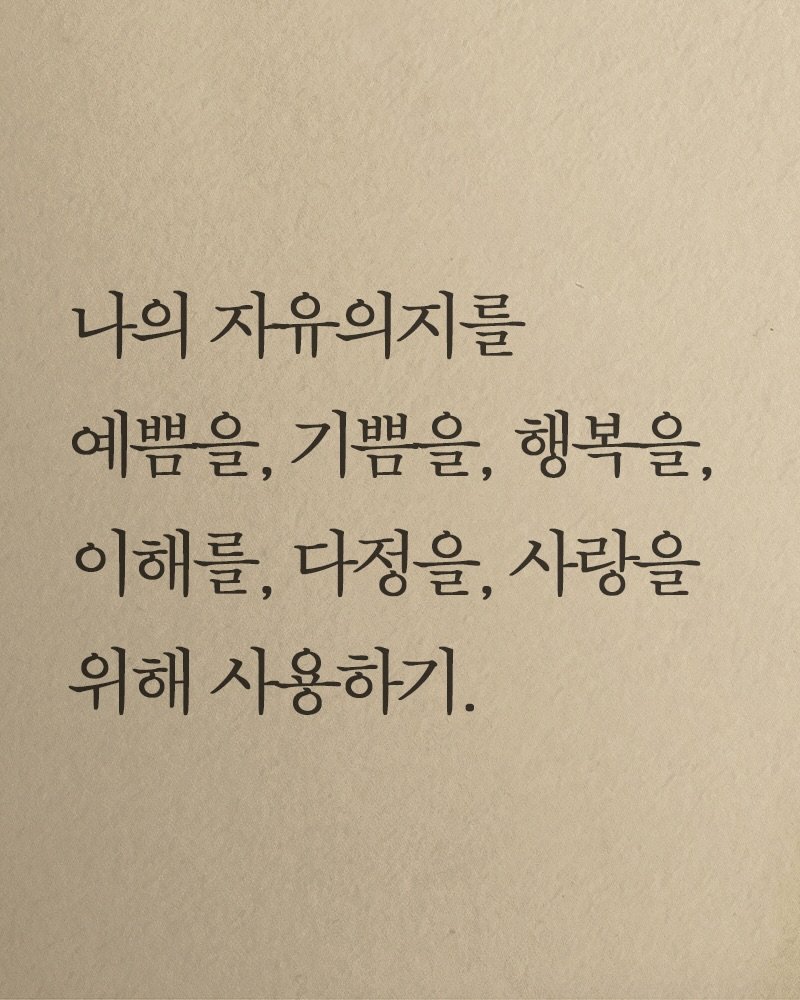 Photo shared by 김지훈 작가 / 진심의꽃한송이 on February 19, 2026 tagging @artist_jihun. May be an image of text that says '나의 지유의지를 예쁨을, 기쁨을, 행복을, 이해를, 다정을, 사랑을 위해 사용하기.'.