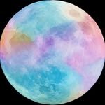 gomjiyo 프로필 사진