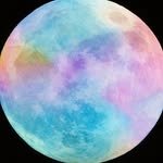 gomjiyo 프로필 사진