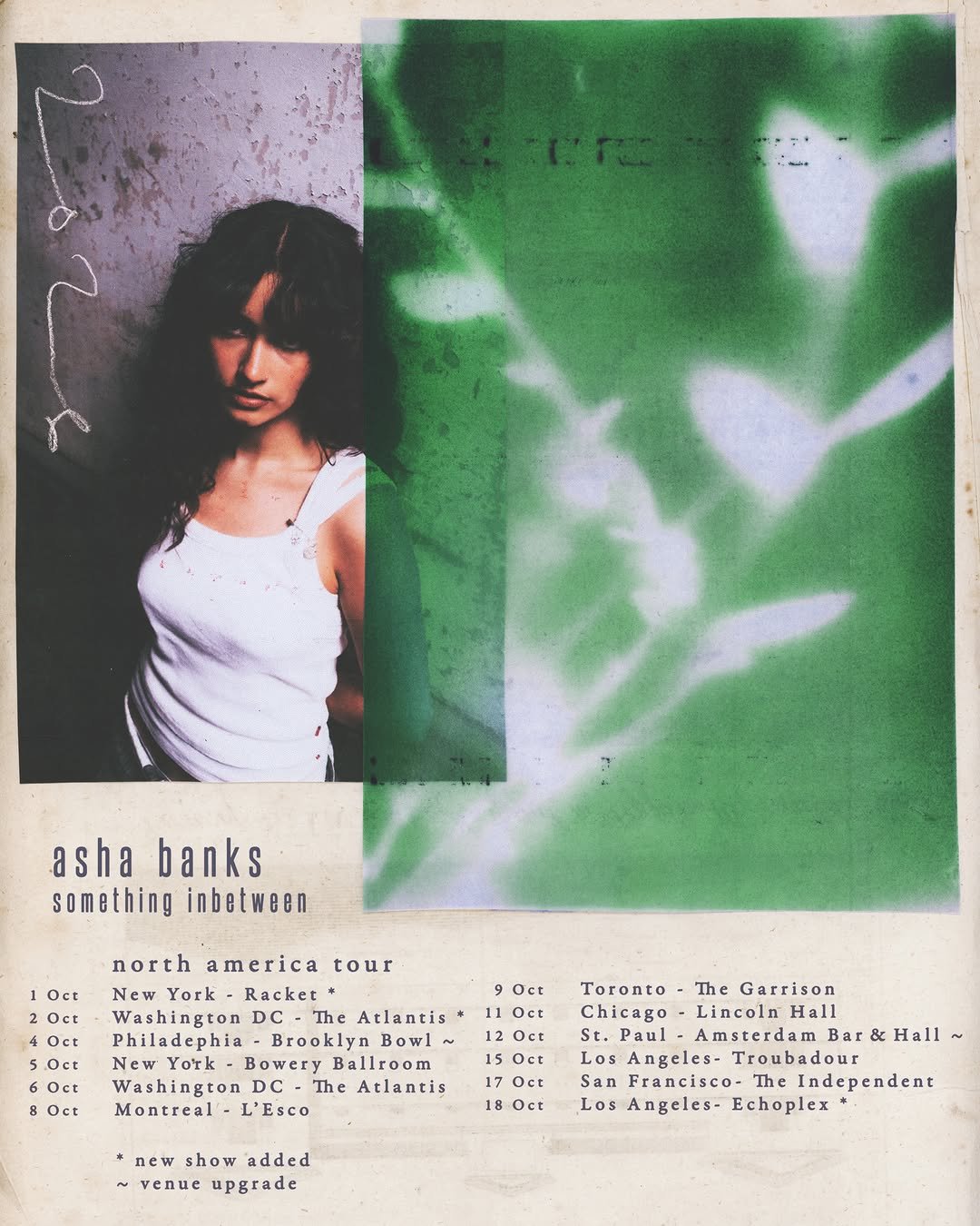 ashaabanks 게시물 이미지: What on earth!!! Presale was so crazy we’ve...