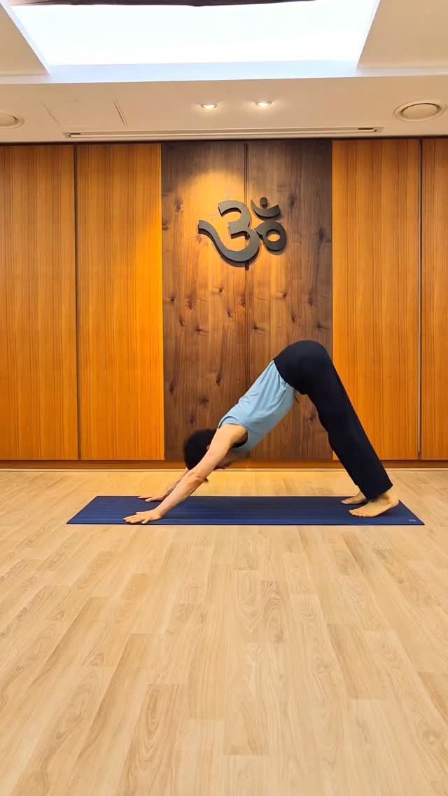ashtangayoga_korea 게시물 이미지: 🙏

“First attempt failed: do 10 push-ups in...