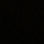 x.odid 프로필 사진