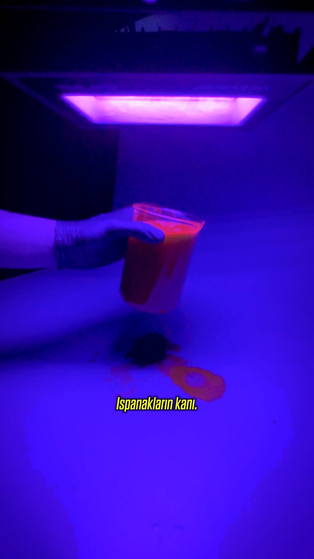 asitmen 게시물 이미지: BU HAYVAN KANI DEĞİL! 🩸❌
••
Takip et, ilginç...