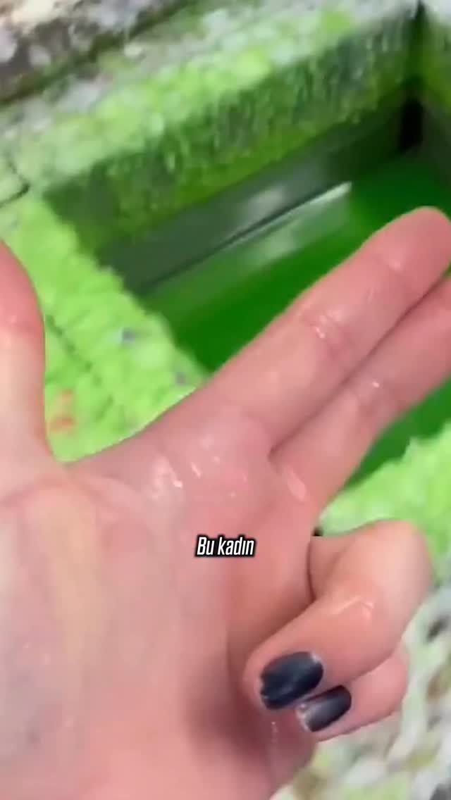 asitmen 게시물 이미지: 100 KAT MUM MU? 🕯️😳
ℹ️ BİLGİ:
Parafin aslında...