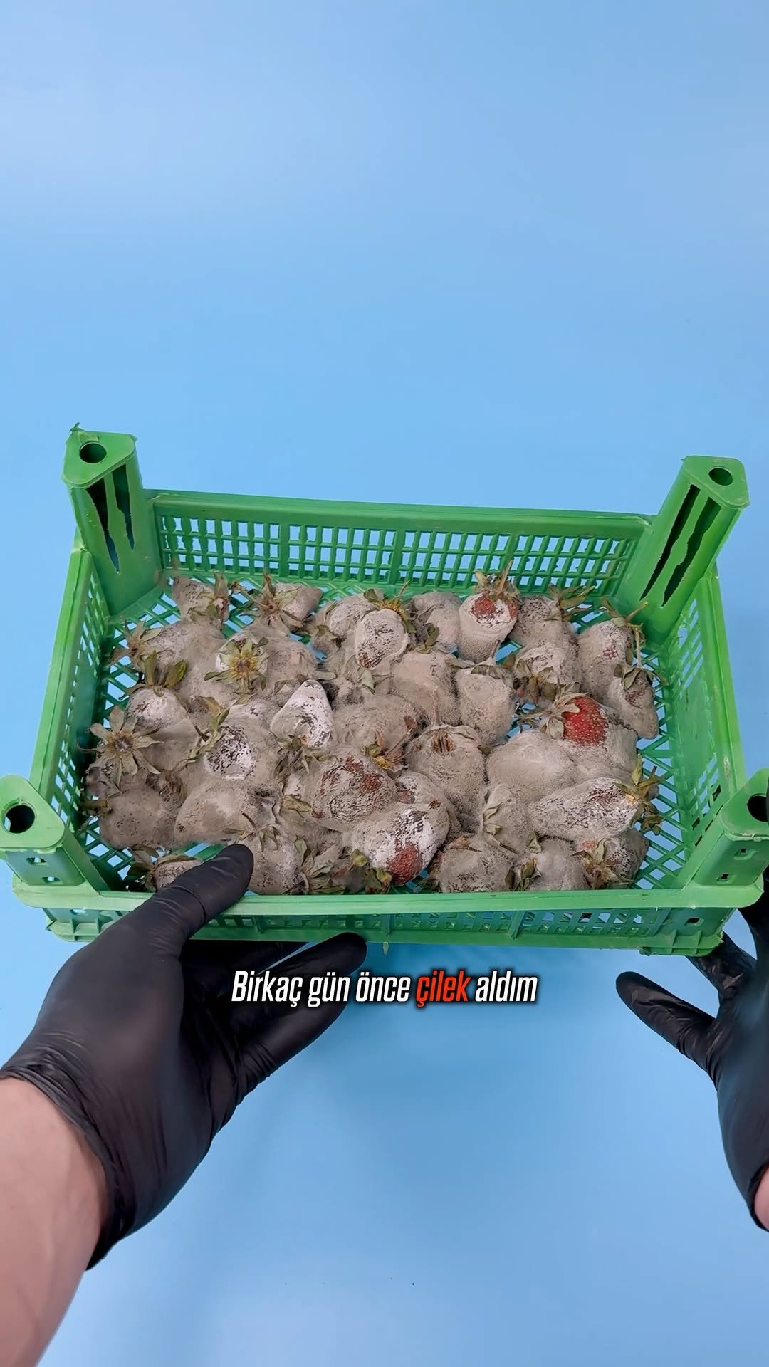 asitmen 게시물 이미지: KÜFLÜ ÇİLEĞİN DNA'sı 🍓🧬
••
Takip et, ilginç...