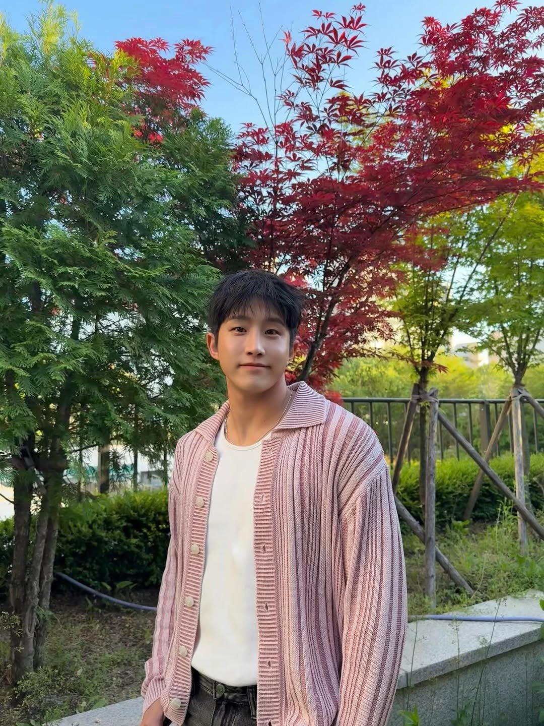 ast_jinjin 게시물 이미지: 🌸💜