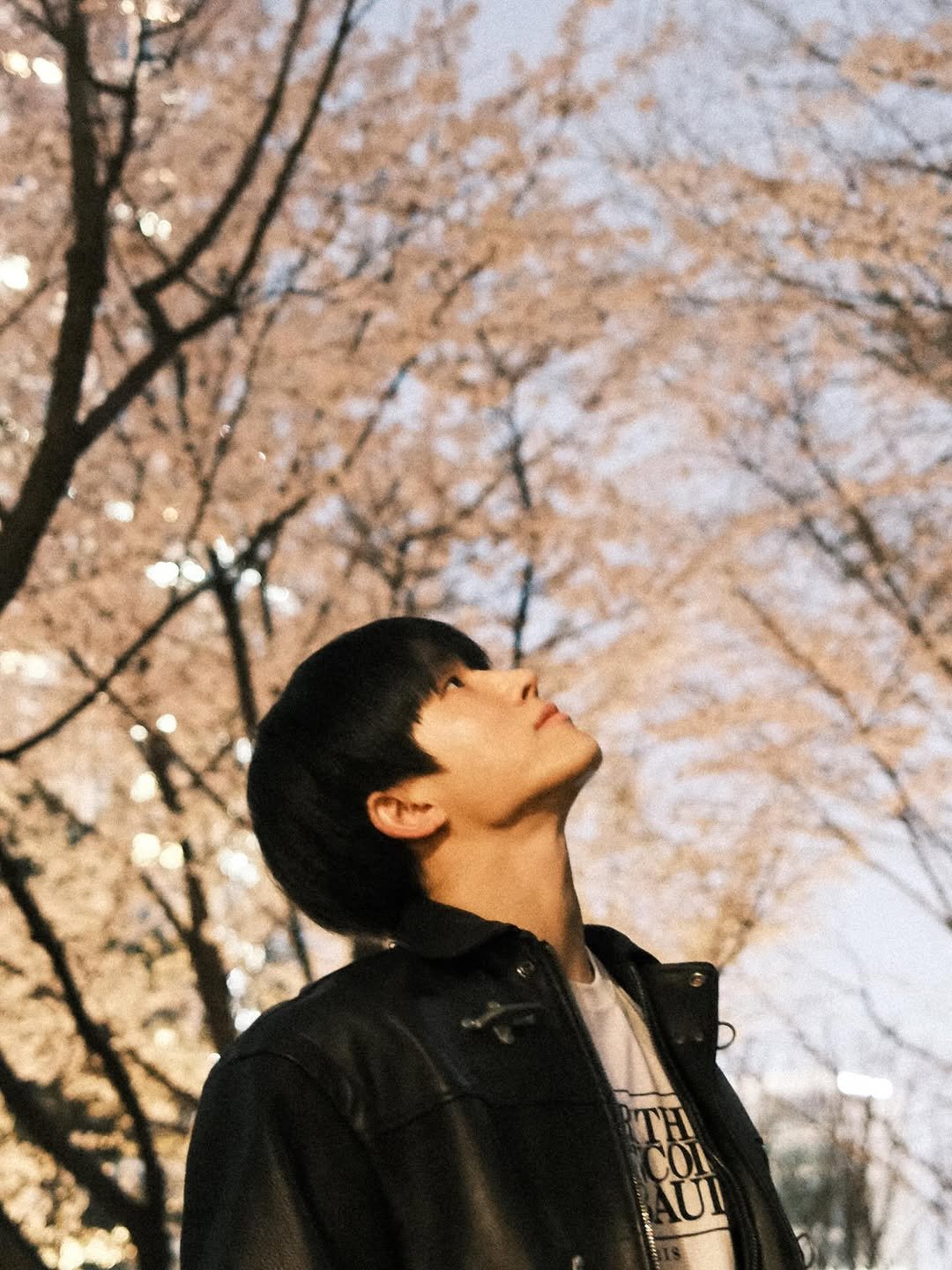 ast_jinjin 게시물 이미지: 🌸