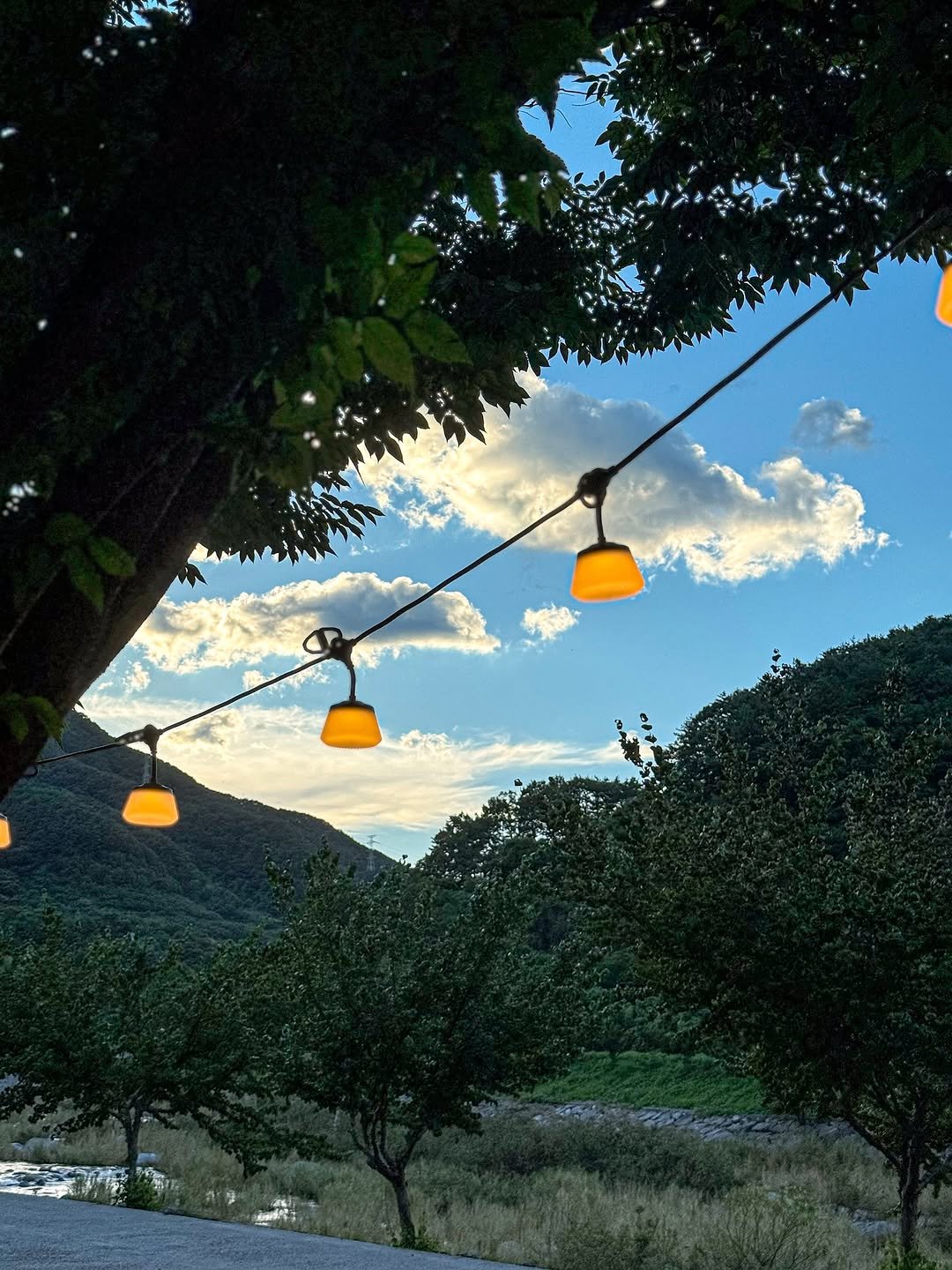 Photo shared by 니맘캠핑 on August 04, 2025 tagging @cargo_container. May be an image of lightbulb, twilight, tree and text.