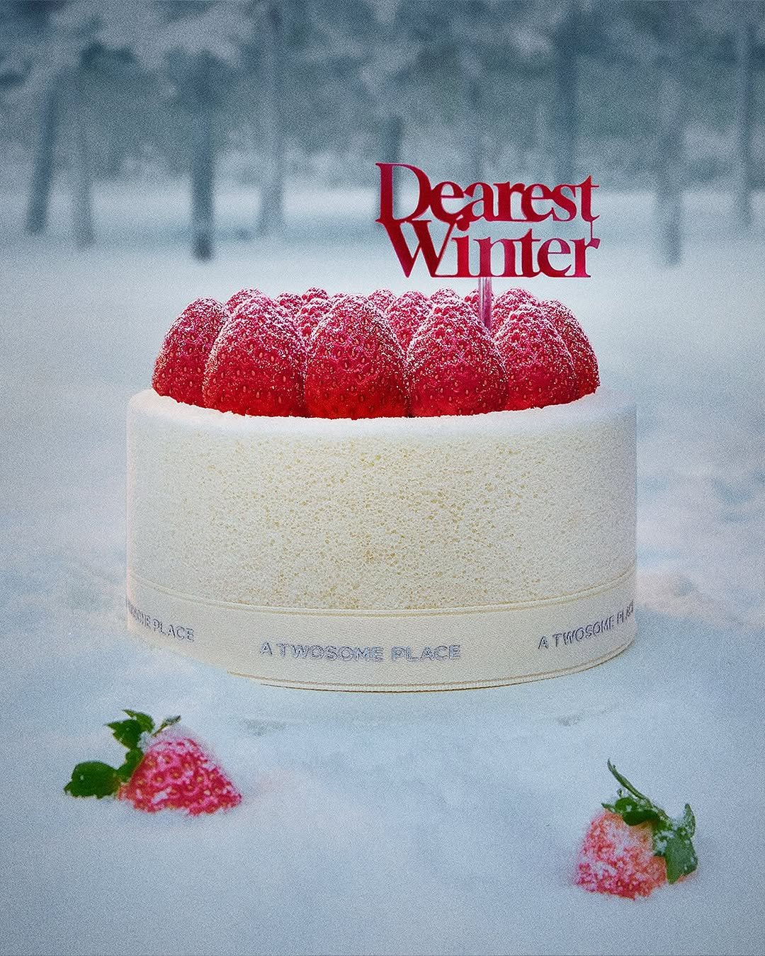 Photo by 투썸플레이스 on November 13, 2025. May be an image of wedding cake, fruitcake, strawberry, powdered sugar and text.