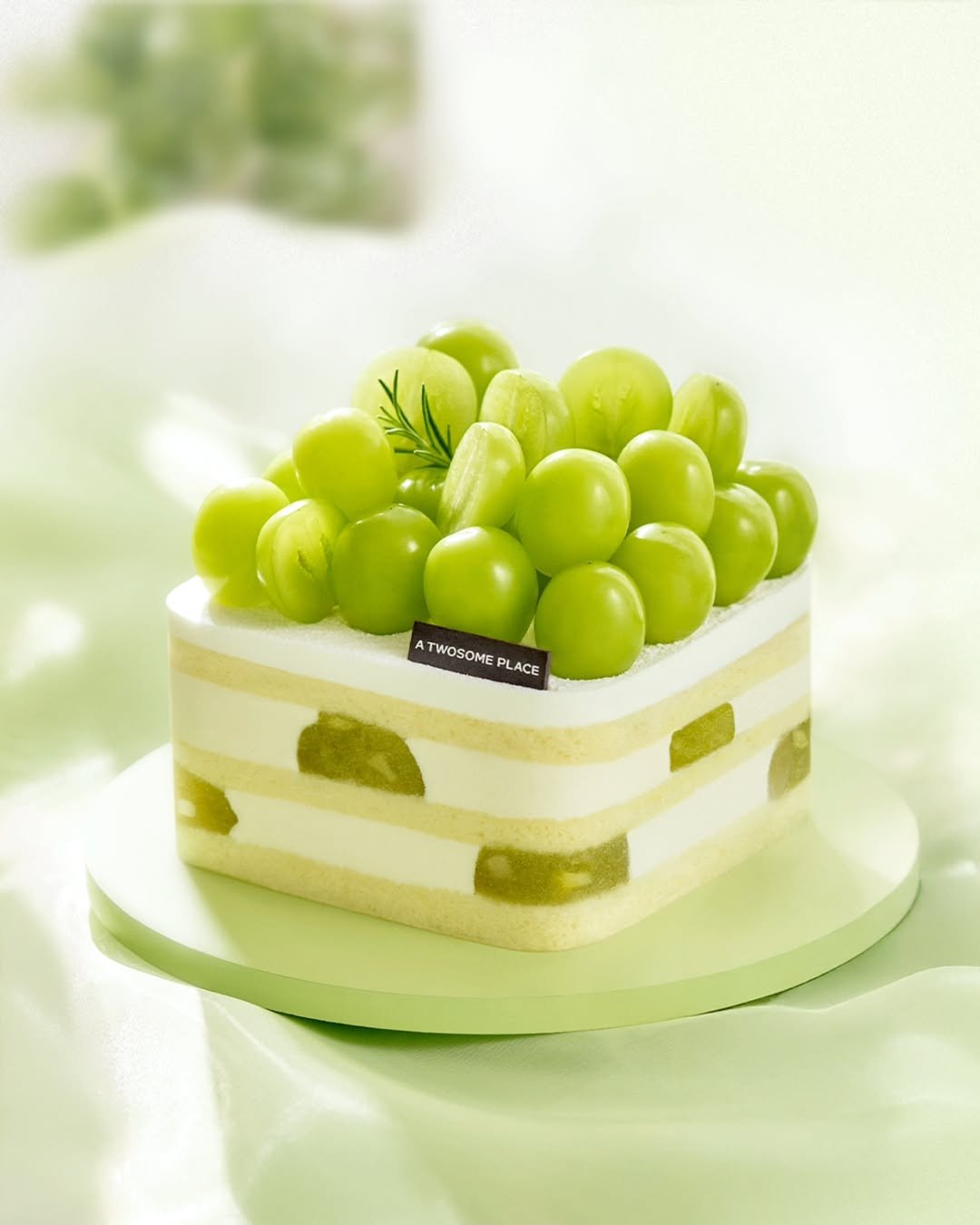 Photo by 투썸플레이스 on July 31, 2025. May be an image of fruit, cake, fruitcake and text that says 'ATWOSOMEPLACE A TWOSOME WOSOMI PLACE'.