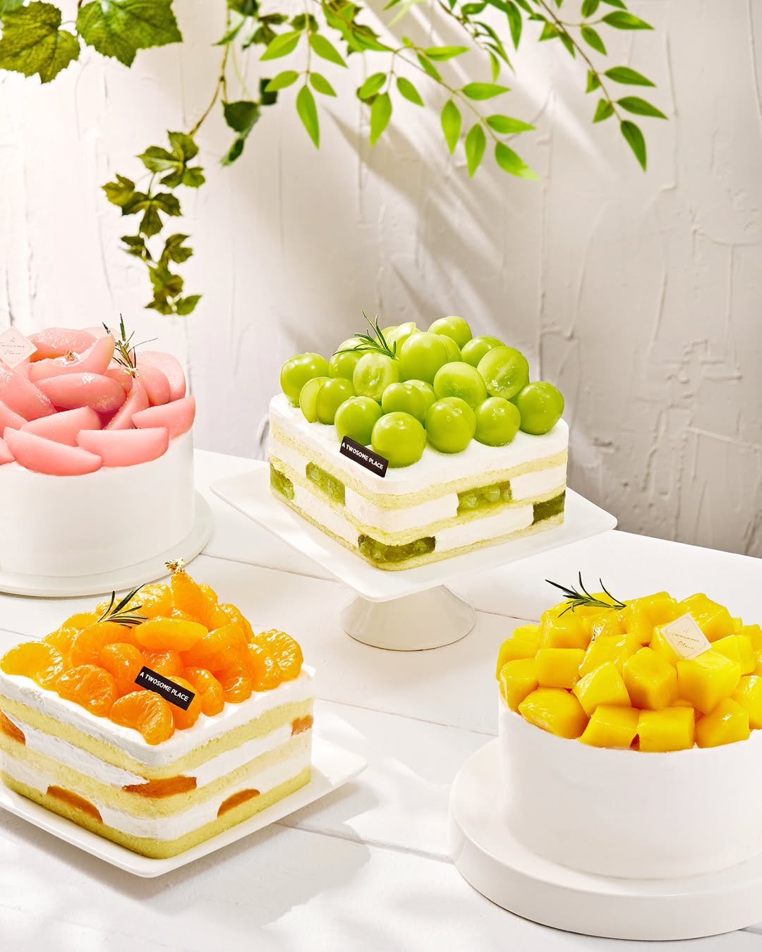Photo by 투썸플레이스 on August 07, 2025. May be an image of chiffon cake, fruitcake, mango and text.
