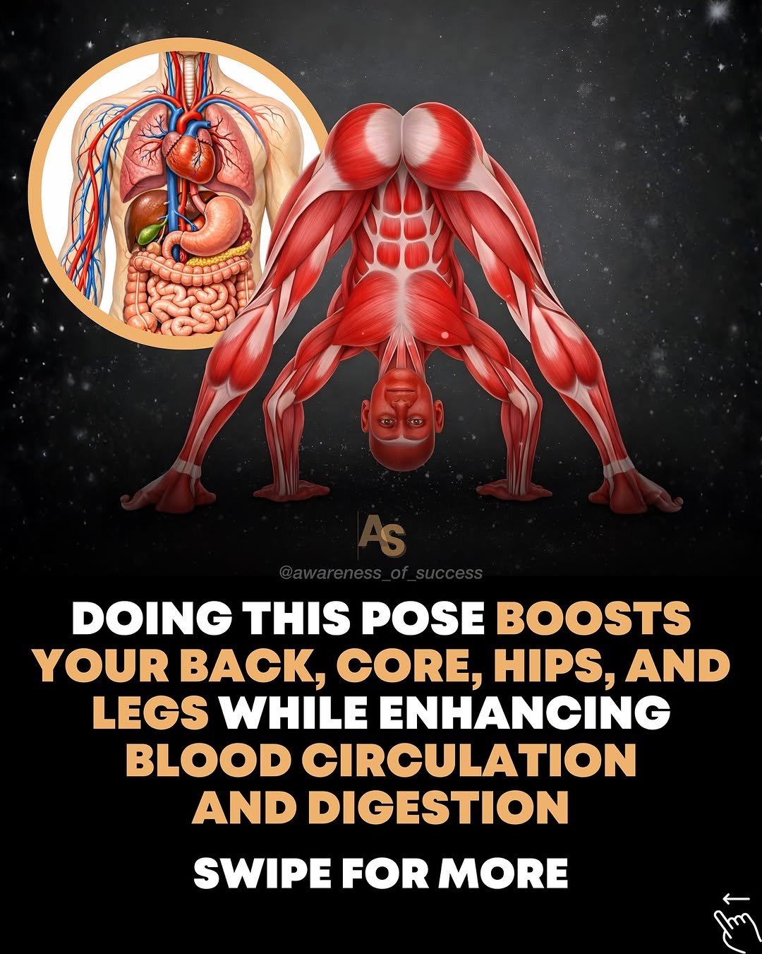 Photo by Awareness • Mindset • Success • AI • Tech on January 16, 2026. May be an image of ‎poster and ‎text that says '‎DOING THIS POSE BOOSTS YOUR BACK, CORE, HIPS, AND LEGS WHILE ENHANCING BLOOD CIRCULATION AND DIGESTION SWIPE FOR SWIPEFORMORE MORE أسس‎'‎‎.