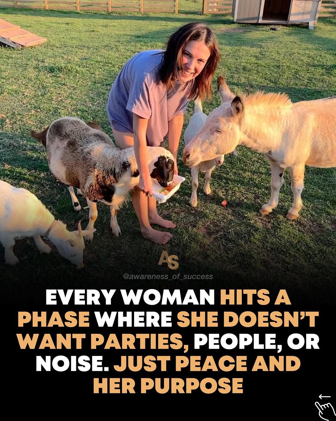 Photo by Awareness • Mindset • Success • AI • Tech on March 04, 2026. May be an image of ‎one or more people, lamb, goat, sheep, donkey and ‎text that says '‎EVERY WOMAN HITS A PHASE WHERE SHE DOESN'T WANT PARTIES, PEOPLE, OR NOISE. JUST PEACE AND HER PURPOSE سب‎'‎‎.