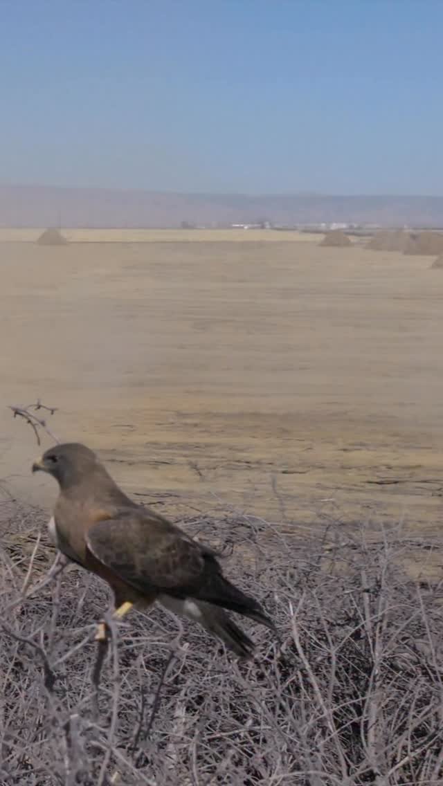 awesome_earthmovers 게시물 이미지: Nature stole the show during this visit to see...