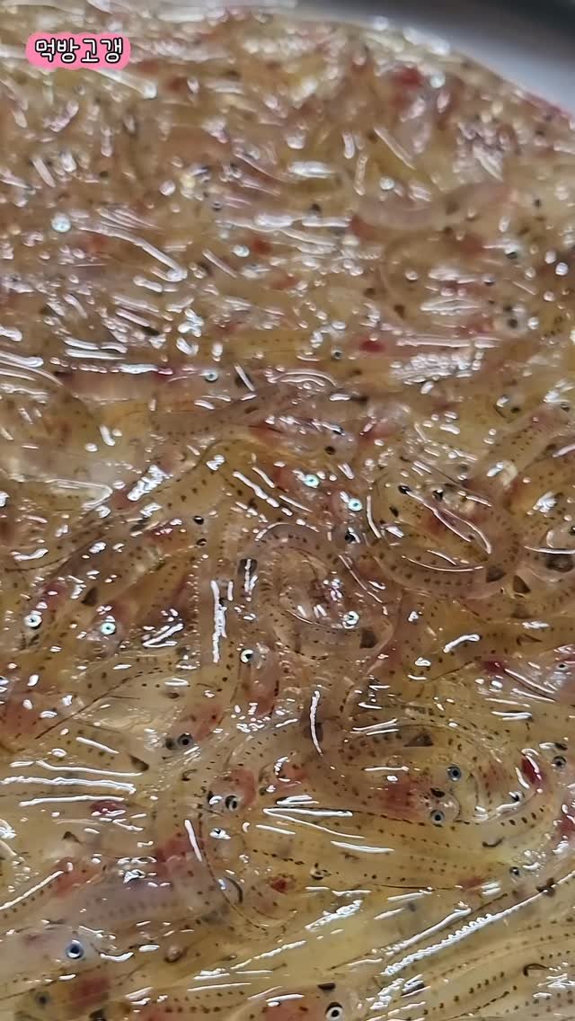 azure_jass 게시물 이미지: 게스트를 모셔봤습니다 
#사백어 #먹방 #야식