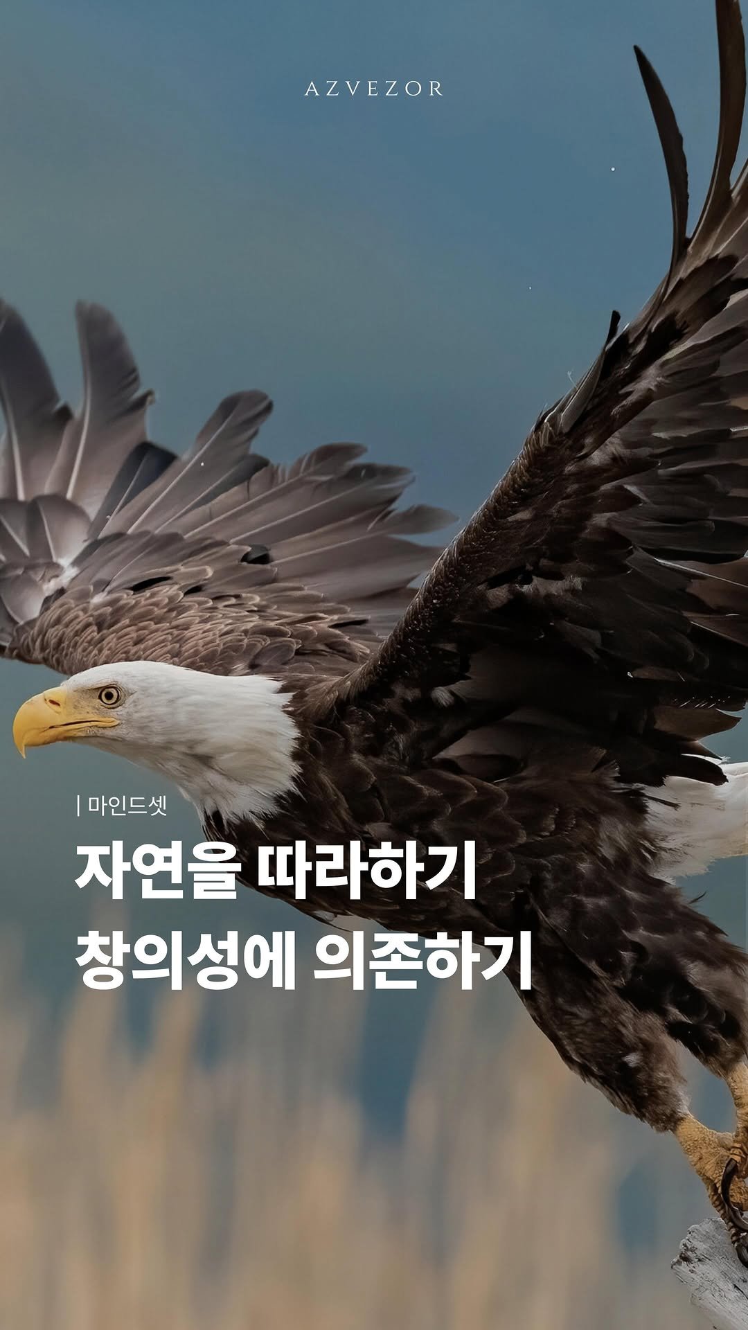 azvezor 게시물 이미지: 자연을 따라하기 VS 창의성에 의존하기