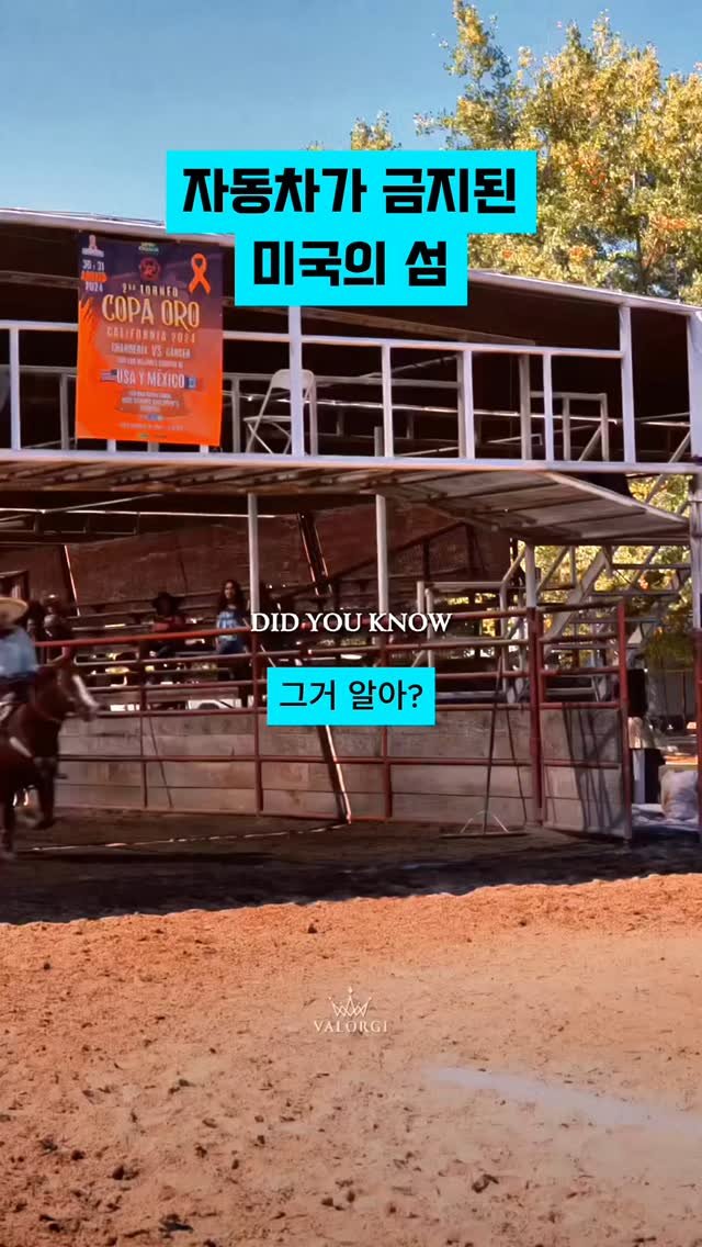 azvezor 게시물 이미지: 자동차가 금지된 미국의 섬
.
.
.
.
.
#알고리즘 #조회수 #수익 #미국강의 #사업강의