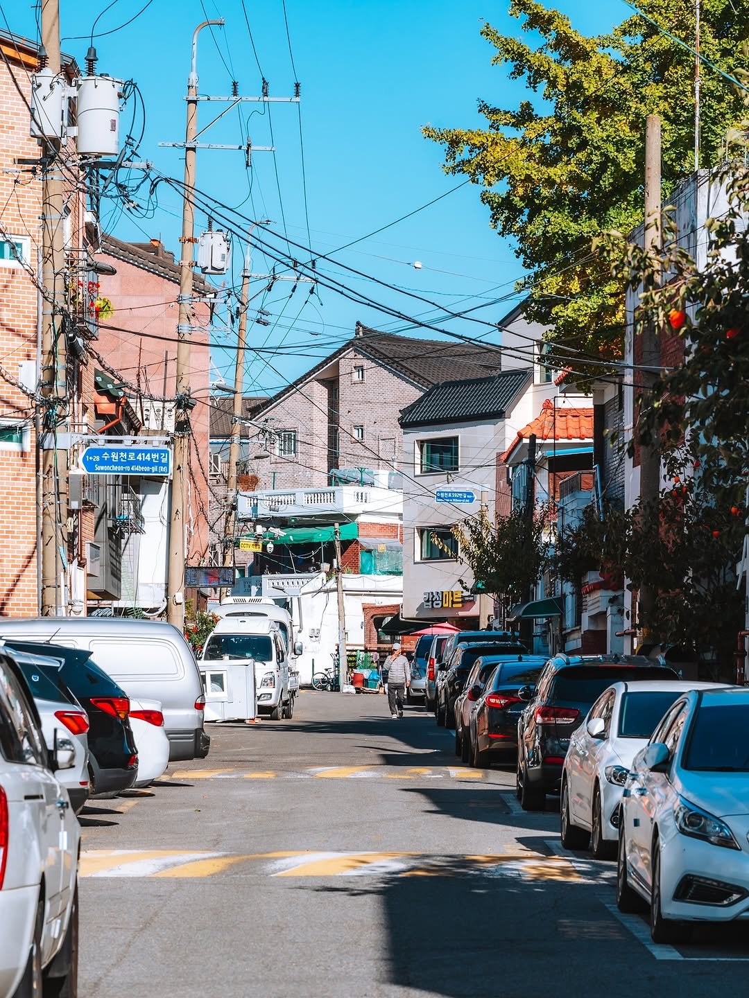 Photo shared by 빈백 | CHANG SU, OH on November 10, 2025 tagging @trazy_korea, @sonykorea, @suwon_city, @sonyalpha, @gyeonggi_tour, and @gyeonggi__official. May be an image of sparrow, street, road, telephone pole, lamppost and text.